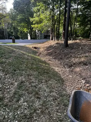 dry creek bed drainage