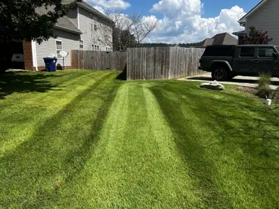 Maintained backyard with clean mowing lines