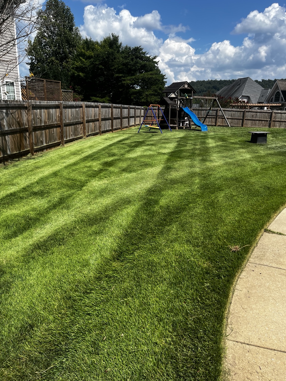 Striped backyard lawn beside a playset