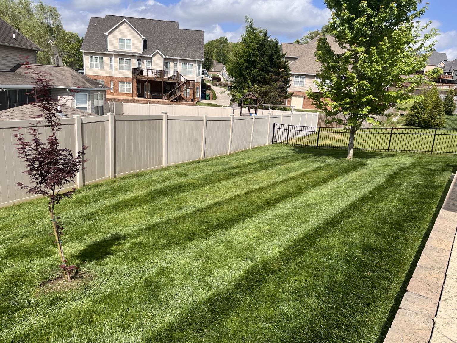 Mowing stripes across a fenced backyard