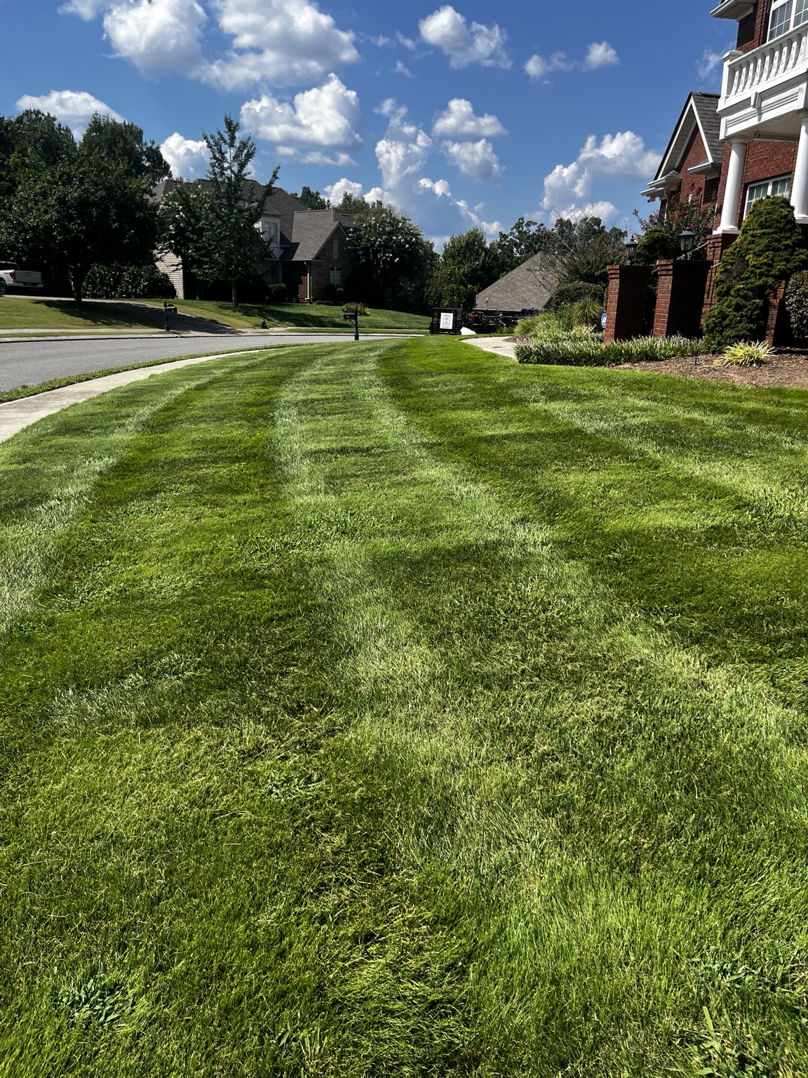 Maintained lawn along a local neighborhood street