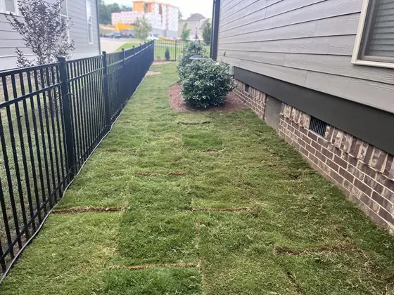 Finished sod installation
